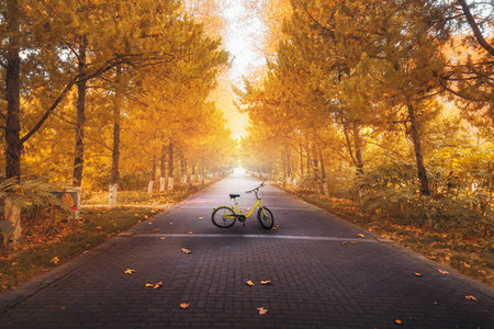 東北石油大學MPAcc招生條件 東北石油大學MPAcc招生條件