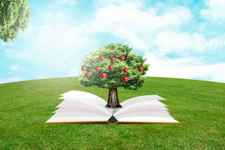 天津科技大學(xué)輕工技術(shù)與工程非全日制研究生考試通過(guò)率 天津科技大學(xué)輕工技術(shù)與工程非全日制研究生考試通過(guò)率