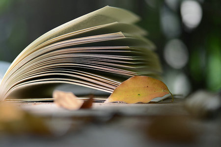 中國海洋大學農業管理非全日制研究生報考流程詳解 中國海洋大學農業管理非全日制研究生報考流程詳解