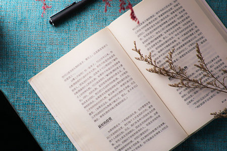 河北大學(xué)廣播電視非全日制研究生就業(yè)方向有哪些 河北大學(xué)廣播電視非全日制研究生就業(yè)方向有哪些