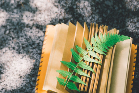 報考貴州財經大學MPA需要滿足什么條件 報考貴州財經大學MPA需要滿足什么條件