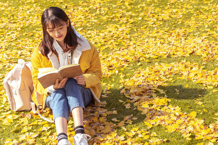 河南科技大學(xué)畜牧非全日制研究生招生時(shí)間 河南科技大學(xué)畜牧非全日制研究生招生時(shí)間