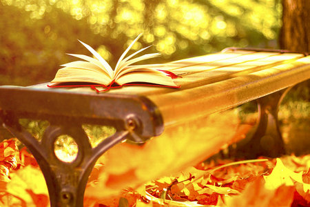 在職考研網課 在職考研網課