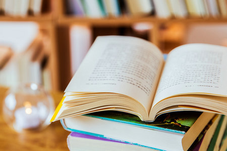 歐洲塞萬提斯大學心理學國際碩士招生信息