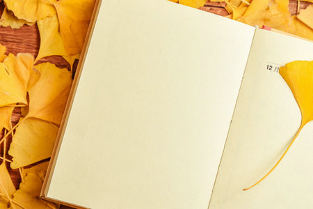 心理學國際碩士招生人群