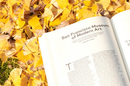 聊城大學(xué)MPA招生信息