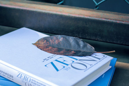 美國加州多明尼克大學國際碩士報名及考試時間 美國加州多明尼克大學國際碩士報名及考試時間