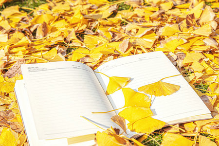 山西財經大學非全日制研究生招生簡章 山西財經大學非全日制研究生招生簡章