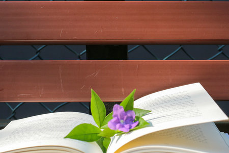 浙江理工大學MPAcc報名及考試時間 浙江理工大學MPAcc報名及考試時間