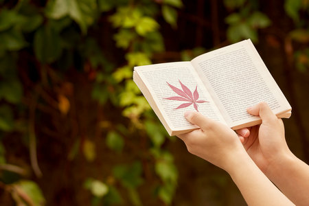 馬來西亞城市大學國際博士報名及考試時間 馬來西亞城市大學國際博士報名及考試時間