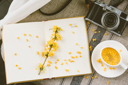 俄羅斯西南國立大學國際博士畢業獲得什么證書 俄羅斯西南國立大學國際博士畢業獲得什么證書