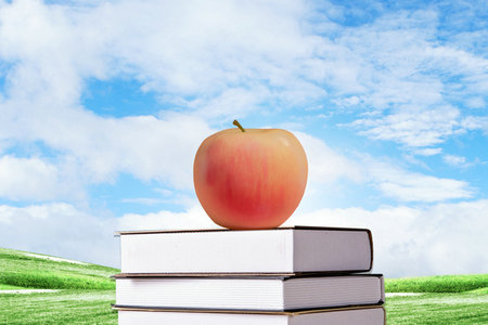 西南林業大學MPA招生條件 西南林業大學MPA招生條件