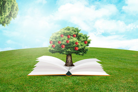 美國紐約理工大學(xué)國際博士獲得什么證書