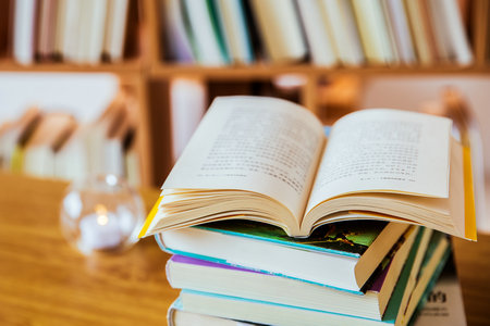 西華大學MEM招生簡章 西華大學MEM招生簡章