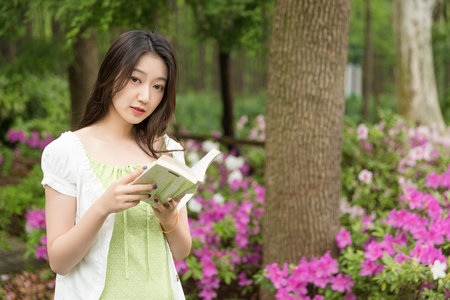 國際貿易經濟合作研究院在職研究生國際商務碩士 國際貿易經濟合作研究院在職研究生國際商務碩士