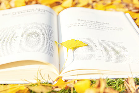 2024年非全日制研究生報名條件 2024年非全日制研究生報名條件