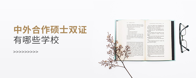 中外合作碩士雙證有哪些學(xué)校 中外合作碩士雙證有哪些學(xué)校