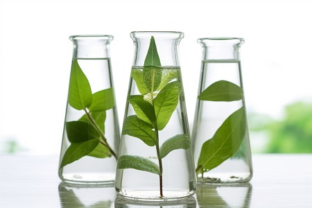 藥理學在職研究生就業方向與前景! 藥理學在職研究生就業方向與前景!