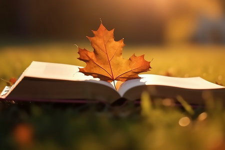 西南科技大學(xué)在職研究生電子與信息碩士招生信息 西南科技大學(xué)在職研究生電子與信息碩士招生信息