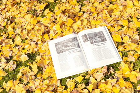 電子科技大學在職研究生招生時間 電子科技大學在職研究生招生時間