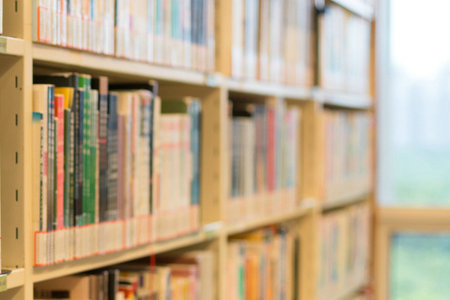 上海外國(guó)語(yǔ)大學(xué)MPA報(bào)考條件 上海外國(guó)語(yǔ)大學(xué)MPA報(bào)考條件