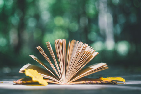 蘭州理工大學同等學力申碩學費一覽表 蘭州理工大學同等學力申碩學費一覽表