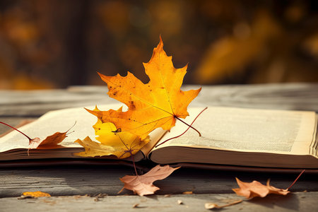 四川農(nóng)業(yè)大學(xué)MF招生類型