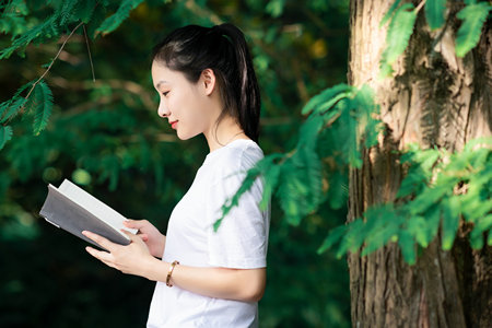石家莊鐵道大學(xué)MEM成績啥時(shí)候出來 石家莊鐵道大學(xué)MEM成績啥時(shí)候出來