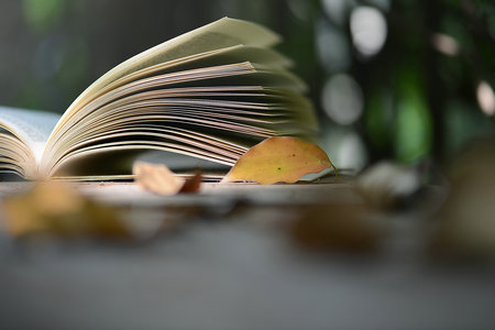 菲律賓永恒大學(xué)國際博士報(bào)考條件 菲律賓永恒大學(xué)國際博士報(bào)考條件