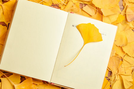 東北林業(yè)大學金融專碩報考條件 東北林業(yè)大學金融專碩報考條件